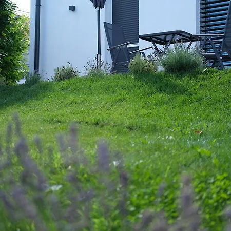 Modern, Stílusos Paloznakon